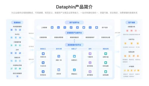 企業數據系統建設 治理價值凸顯，2025主流產品與服務全景展望