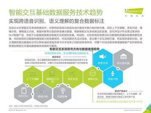 中國人工智能基礎(chǔ)數(shù)據(jù)服務(wù)行業(yè)報告 數(shù)據(jù)處理服務(wù)的核心價值與演進趨勢